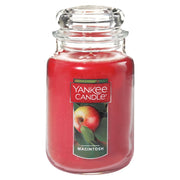 Yankee Candle Macintosh Original Jar Candle