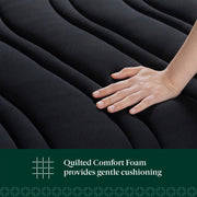 Zinus Tranquility 10in Medium Hybrid Mattress with Pocketed Coil Support, Black, Queen