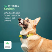Whistle Switch Smart Collar Kit GPS location Health & Fitness