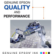 Epson Claria Photo HD Ink Cartridge, Light Cyan and Light Magenta, Standard Capacity 2-Pack, T312922-S