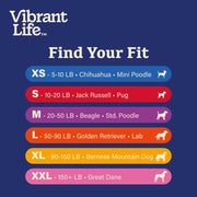 Vibrant Life Reflective Break-Away Adjustable Cat Collar, Black with Silver Lightning Bolt, One Size