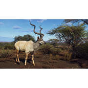 THQ Nordic Way of the Hunter: Wild Expeditions (Xbox Series X)