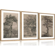 TOARTi Vintage Tree Sketch Wall Art Set, Framed Botanical Canvas Prints, Wood-Like PS Frames, 16x24 in, Set of 3