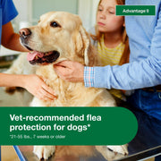 Advantage II Topical Flea Treatment for Large Dogs 21-55 lbs, Fragrance-Free, Waterproof, 4-Pack, 86336707