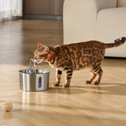 The KittySpout 2.2L Fountain CRO1 - 2 Month: KittySpout + 4 filter Sets + AC Adapter + FREE Gift