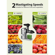 Aeitto HSJ1518-Black Cold Press Juicer Aeitto Masticating Juicer Machine for Fruits and Vegetables Slow Juicers and Extractors with Reverse Function&2-Speed Mode Juice Extractor with Brush | Easy to Clean | Quiet Black