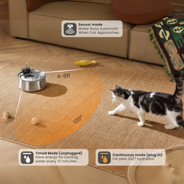 KittySpout Wireless Fountain 2.0 CRO1 - 2 Month: Wireless KittySpout + 4 filter sets