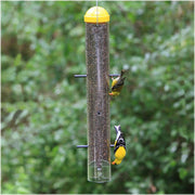 Perky-Pet 3 in. W x 3.5 in. D x 19.25 in. H Upside Down Thistle Bird Feeder-399