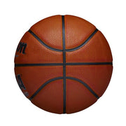 Wilson WTB6076ID062PK NCAA Street Shot Basketball, Intermediate