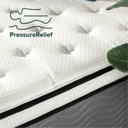 Zinus ZU-MSSB1VZI-12Q Support Plus 12