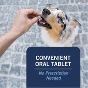 PetArmor CapAction Oral Flea Treatment for Small Dogs 2-25 lb, Fast Acting, 6 Tablets