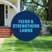BioAdvanced 3-In-1 Weed and Feed Lawn Fertilizer for Southern Lawns, Granules, 10 lb, Covers 4,000 Sq Ft, 820105L