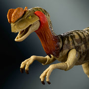 Mattel Jurassic World Hammond Collection Dilophosaurus Action Figure with Articulated Joints and Two Swappable Heads, Deluxe Design, JKM93