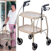 CCS VG798WB Combination Wheeled Trolley Walker