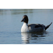 GHG Pro Grade Pintail Duck Decoys 6 Pack