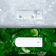 Ripple Nicotine Free Diffuser Set, Mint Blend with Peppermint and Spearmint Aromas, 4 Pack, 4,000 Puffs MAX MINT SET