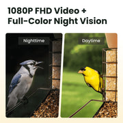 Birdfy Smart Bird Feeder with 1080P HD Camera, 60FPS Video, AI Bird Identification, Night Vision, Cloud Storage, Suet Holder, Brown