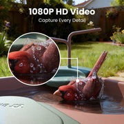 Birdfy Smart Bird Bath with 1080P HD Camera, AI Bird Identification, Solar Powered, Weatherproof, Brown, Jolly V