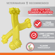 Nylabone Axis Puppy Power Chew Bone, Nylon, Vanilla Flavor, Small, 1 Count