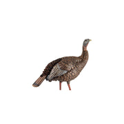 Avian-X HDR Hen Turkey Decoy, Heavy-Duty Realism, Two Interchangeable Heads, Multicolor, Durable Blow-Molded Design, AVX8106