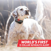 SportDOG FS-1825 FieldSentinel 1825 Remote Trainer with Bodyguard Health Alerts