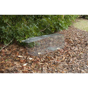 Havahart Large 1-Door Live Animal Cage Trap-1079