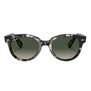 Ray-Ban Orion RB2199 Gradient Glass Sunglasses