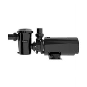 Raypak Protege AGP Above Ground Pool Pump, 1.0 HP Motor, 1.5 in PVC Union Connections, Thermal Protection, Large 89 cu. in. Basket, Black, 018193