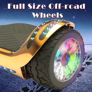 Tcdjtc LBW12A Hoverboard with Bluetooth and Led Lights, Rose16