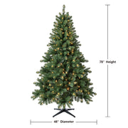 Holiday Time SG66M3CAPL05 6.5' Pre-Lit Windham Spruce Green Artificial Christmas Tree with Warm White LED Lights
