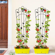 SNYNUXX Metal Detachable Trapezoidal Garden Trellis Set, Black, 60 Inch, Pack of 4