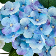 Way To Celebrate Hydrangea Garland, Blue and Cream, 6 ft, Artificial Easter Decoration