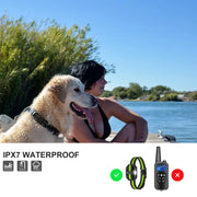 Heaflex HF003800 Dog Training Electric Collar 2600ft Remote 4 Modes Light Beep Vibration Shock Waterproof 2 Dogs, Black & Green