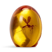 Toynk Surreal Entertainment Jurassic Park Mosquito In Amber Resin Paper Weight, Measures 3