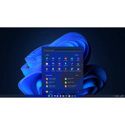 WIN HOME 11 64-BIT USB