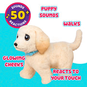 Moose Toys Little Live Pets Ouchies Cooper The Retriever Puppy Interactive Toy with 50+ Sounds, Walking Action, Deluxe Carrier, and Vet Play Accessories