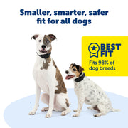 PetSafe Pif00-18096 Guardian GPS 2.0 Dog Fence + Tracking Wireless Dog Fence with Reliable Dual Frequency GPS Tracking Smaller Collar