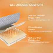 Dhole Electric Heated Blanket, Checkered Fleece, Queen 84x90 in, 6 Heat Settings, 10 Hour Auto Shut-Off, Light Gray