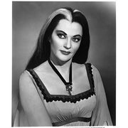 Universal Pictures Home Entertainment The Munsters: The Complete Series (DVD)