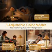 Lofter-Pro Boho Rattan Bedside Table Lamp, Cordless Battery Operated Touch LED, Gold Finish
