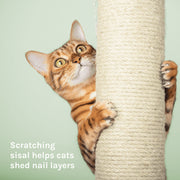 SportPet Designs Kitty City 61-Inch Multi-Level Upholstered Cat Tree with Natural Sisal Scratching Posts, Gray