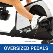 XTERRA SB250 Recumbent Exercise Bike, 24-Level Magnetic Resistance, 13.5 lb Flywheel, 5.5