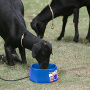 Farm Innovators Heated Pet Water Bowl, 60 Watt, Advanced Thermostatic Control, Blue, 1.5 Gallon Capacity, Large Dogs and Cats, P-60B