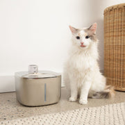The KittySpout  Wireless Fountain - 1 Month: Wireless KittySpout + 2 filter sets