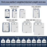 Teler Weighted Blanket for Adult, 20 lb, 60 x 80 in Queen Size, Grey, Cooling Breathable Microfiber, Even Weight Distribution, ZLT-ZJ-D