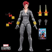 Hasbro G0816 Marvel Legends Black Widow 6 Inch Action Figure, Comics-Inspired Design, 7 Accessories, Poseable Articulation