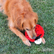 Zippy Paws Squeakie Crawler Plush Dog Toy, Ladybug Design, 6 Squeakers, Large, Pack of 3