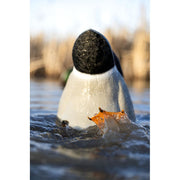 GSM Outdoors Avian-X Power Butt Kicker Drake Mallard Motion Duck Decoy, Rechargeable Lithium-Ion Battery, Foam-Filled Body, AVX-PBKD