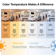 Philips LED Frosted A19 Light Bulb, EyeComfort Technology, 1500 Lumen, Daylight 5000K, 13.5W Equivalent to 100W, E26 Base, Indoor Use, 4-Pack