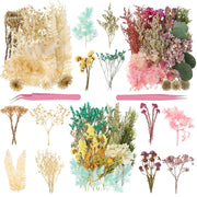 BTLIGE Mixed Preserved & Dried Flower Set, Natural for DIY Crafts Home Decor, Blue Series
